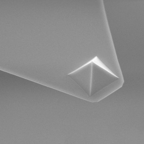 AFM tip of MikroMasch AFM probe with 2 soft contact mode silicon nitride AFM cantilevers