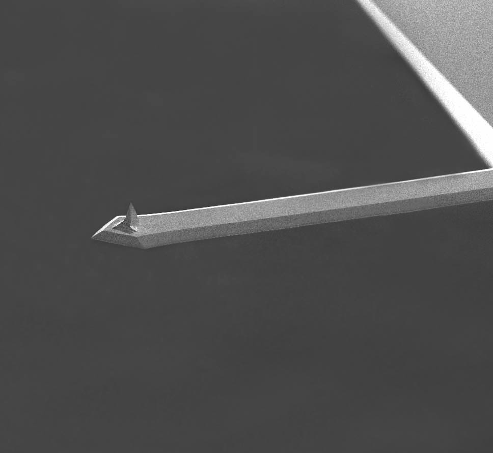 AFM cantilever of MikroMasch soft tapping and lift mode AFM probe