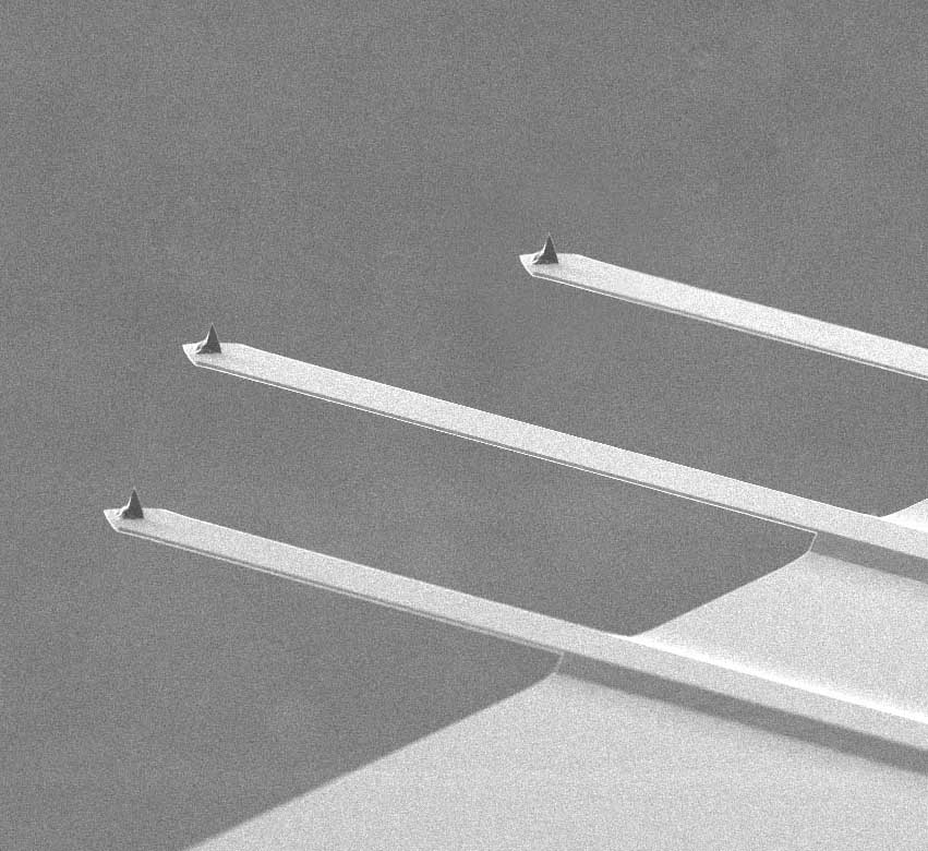 AFM probe with 3 different contact mode AFM cantilevers by MikroMasch