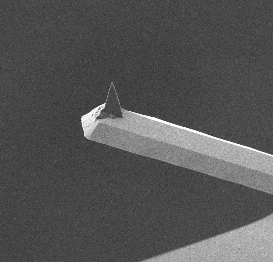 AFM cantilever of MikroMasch tapping mode AFM probe
