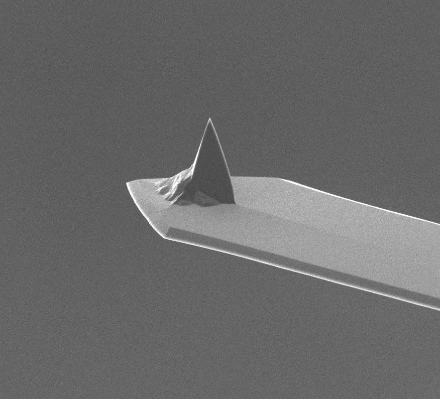 AFM tip of MikroMasch AFM probe with 3 different contact mode AFM cantilevers