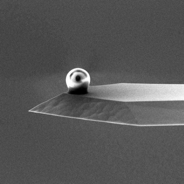 Polystyrene (PS) microspheres