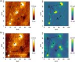 KPFM mode to study corrosion at the buried interface of organic films and Al alloy