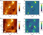 KPFM mode to study corrosion at the buried interface of organic films and Al alloy KPFM mode to study corrosion at the buried interface of organic films and Al alloy