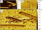 Measurements with BudgetSensors® Multi75Al-G AFM probes