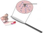 BudgetSensors® ContGB-G AFM Probes help characterize the structure and interactions of the new promising antithrombotic molecule APAC