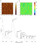 Infrared nanospectroscopic imaging of DNA molecules on mica surface in Resonance Enhanced AFM-IR mode Infrared nanospectroscopic imaging of DNA molecules on mica surface in Resonance Enhanced AFM-IR mode