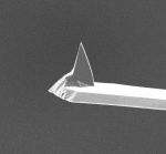 AFM tip of MikroMasch AFM probe with 4 different applications AFM cantilevers