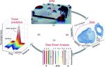 Novel method for predicting tip-sample interaction forces in dynamic AFM using machine learning