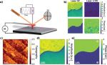 Probing temperature-induced phase transitions at individual ferroelectric domain walls