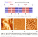 Lamellar structure of our self-assembled block copolymer