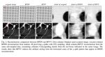 Improving AFM image acquisition rate through spatial subsampling and reconstruction with BudgetSensors CS-20NG calibration nanogrid