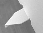 SEM image of OLYMPUS OMCL-AC55 AFM tip
