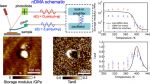 Soft tapping mode AFM probes Multi75Al-G Mechanical dynamics of nanoscale interfaces in epoxy nanocomposites