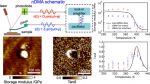 Soft tapping mode AFM probes Multi75Al-G Mechanical dynamics of nanoscale interfaces in epoxy nanocomposites Soft tapping mode AFM probes Multi75Al-G Mechanical dynamics of nanoscale interfaces in epoxy nanocomposites