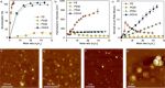 AFM imaging performed in light tapping mode with MikroMasch HQ:NSC18/Al BS AFM probes AFM imaging performed in light tapping mode with MikroMasch HQ:NSC18/Al BS AFM probes