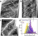 Research on dinuclear complex-induced DNA melting is supported by submolecular resolution imaging using BudgetSensors Tap300Al-G AFM probes