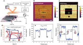 PFM measurement of ultrathin (≈40 nm) poly(vinylidene fluoride-trifluoroethylene (PVDF-TrFE) film self-assembled on a monolayer (≈1 nm) graphene oxide (GO) film.
a) Schematics showing the PFM experimental setup; b) PFM amplitude (scale bar is 1 μm) and c) PFM phase images representing stable bipolar remanent polarization states written in a box-like pattern on PVDF-NL (showing in plane and out of plane responses) using a conductive AFM cantilever (read voltage Vread = 2 V); d) Amplitude and phase SS-PFM hysteresis loops demonstrating ferroelectricity and large piezoresponse in PVDF-NL; e) PFM amplitude (amplitude sharply dropping at the 180° domain wall shown by arrows); f) phase profiles for the FE polarization states written in a box-like pattern with arrows indicating the polarization orientation.