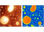 An image of an OSC-elastomer blend, acquired with MikroMasch® SelfAdjust-Air probes